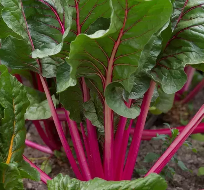 B6, kalsiyum ve demir zengini!