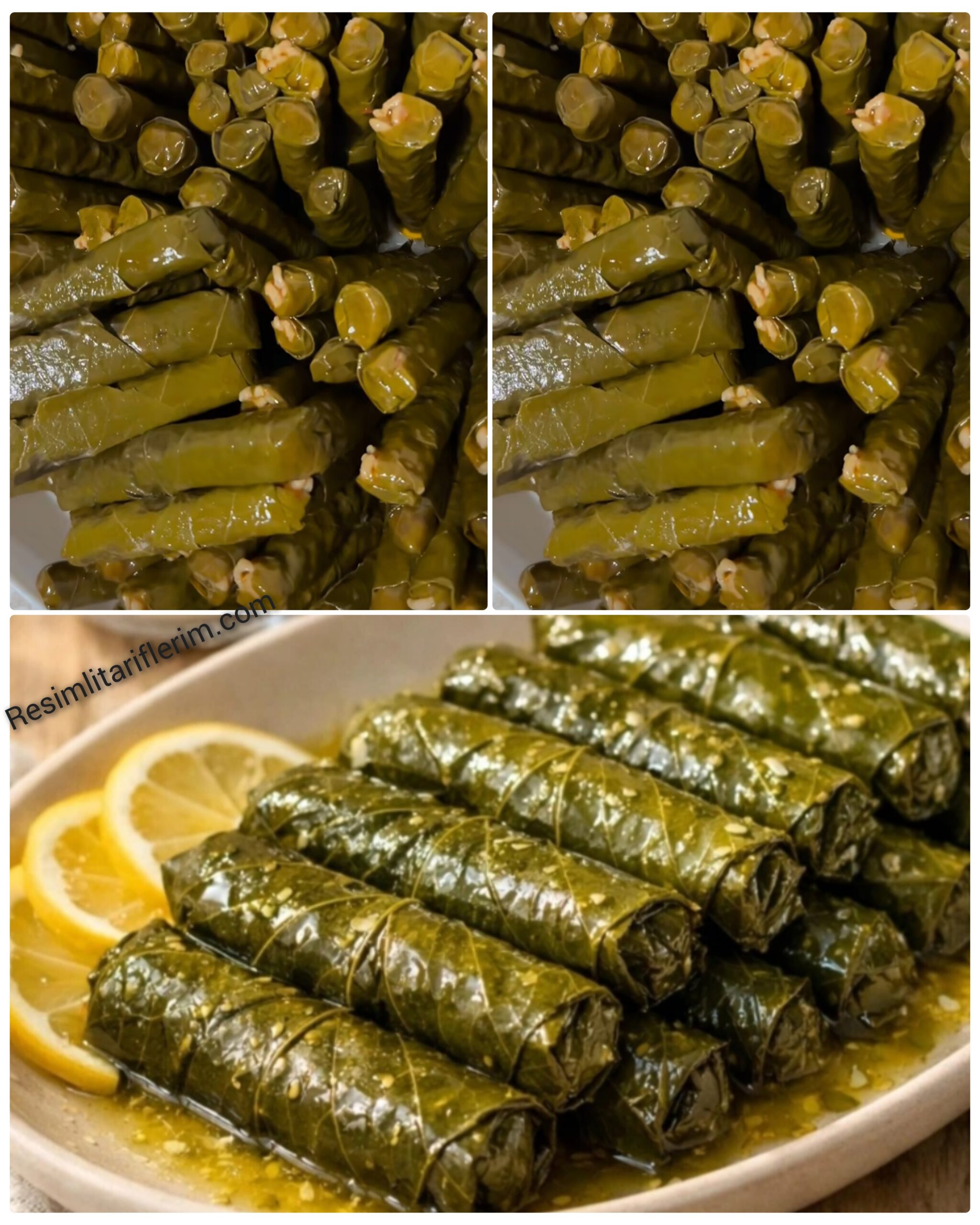 Zeytinyağlı Yaprak Sarması Tarifi