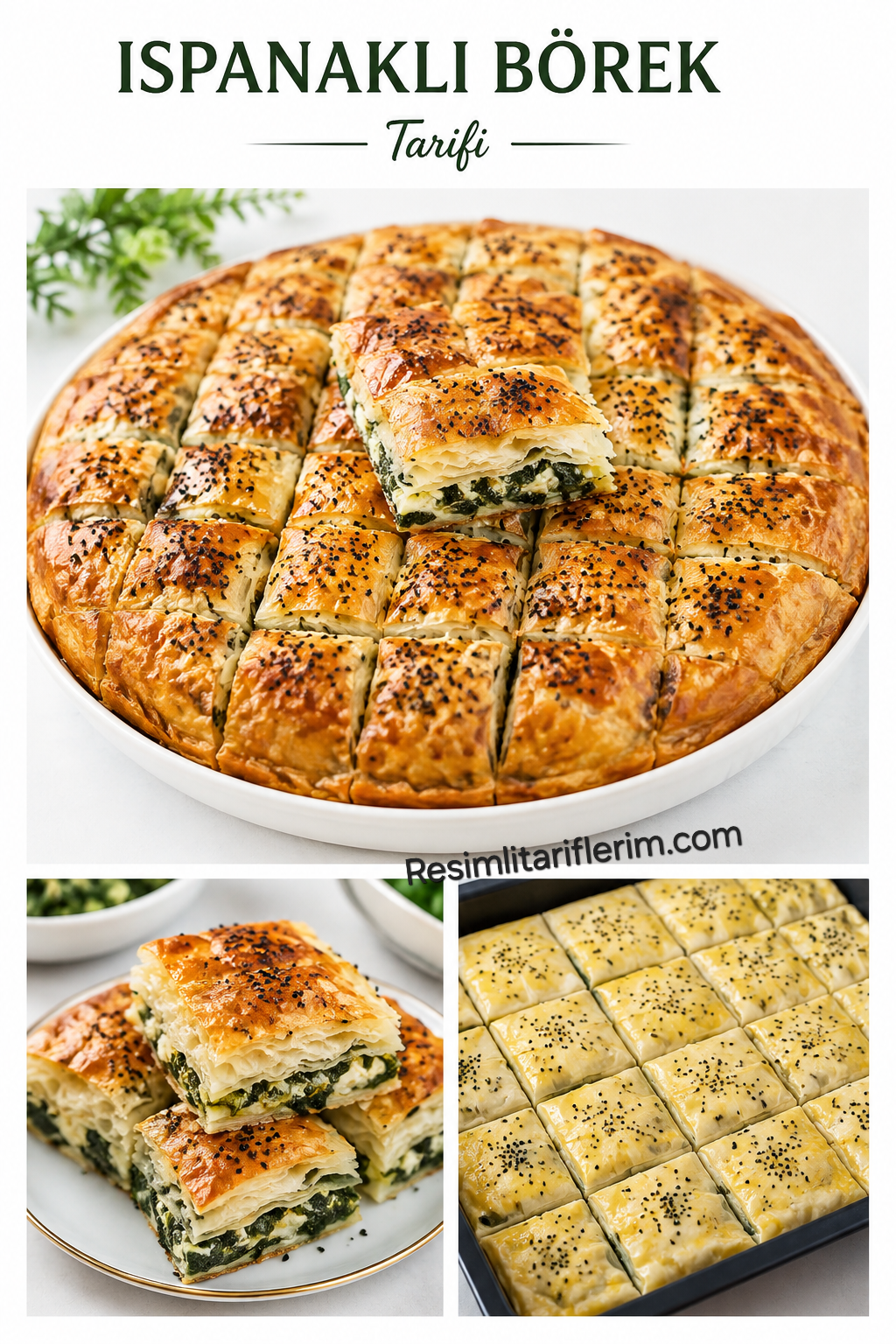 Ispanaklı Börek Tarifi